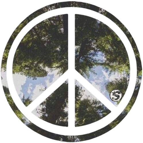 Peaceful Saints